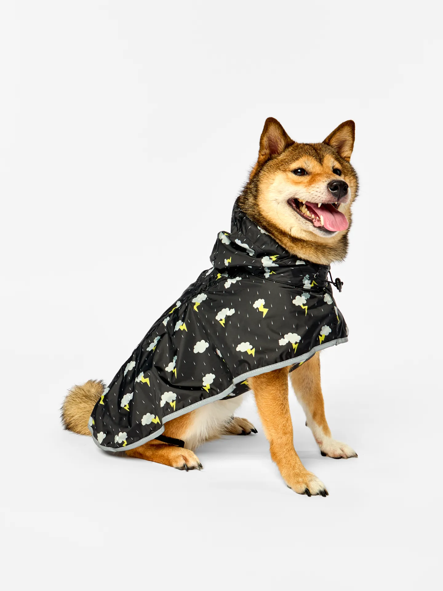 Miniature 1